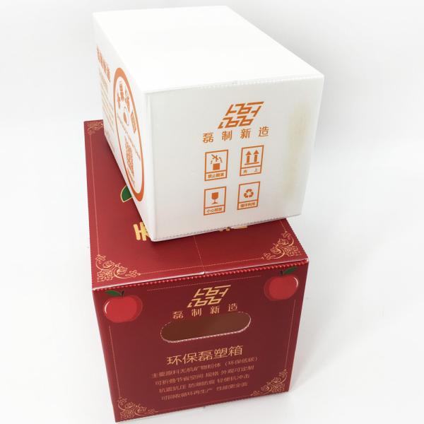 Customized Hollow Board Plastic Packaging Box 3mm Food Storage