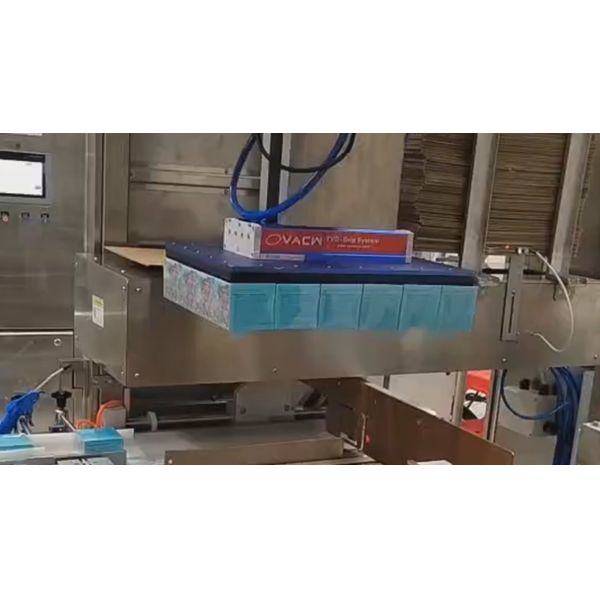 Automatic Mud Mask Case Packing Machine with Servo Collation and Cosmetic Packaging Automation System