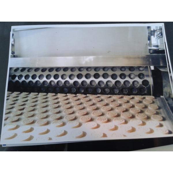 CE Pass SS Pet Treats Extruding Line For Dental Care Dog Chews And Biscuit