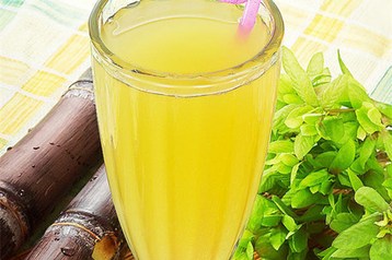 CE Approved 750W Industrial Sugar Cane Juicer Machine Stainless Steel For Restaurant