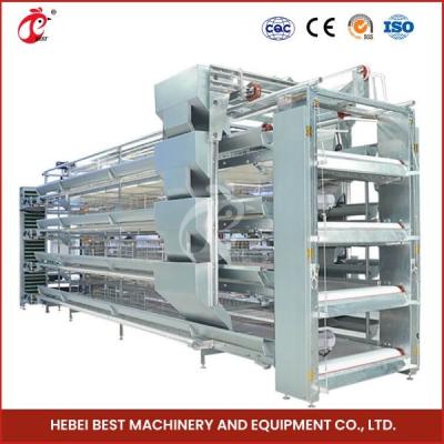H Type 30000 Birds Automatic Egg Layer Chicken Cage With Manure Conveyor Belt Ada
