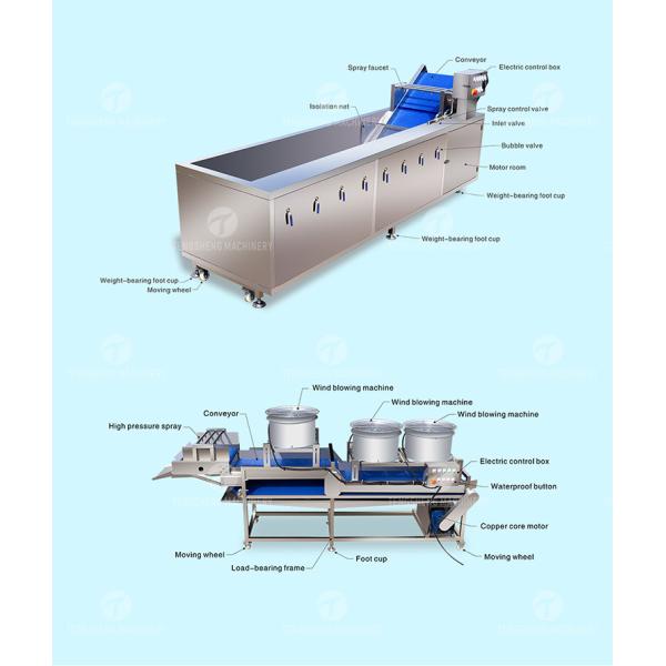 Оранжевая технологическая линия фрукта и овоща выбора 1500KG/H