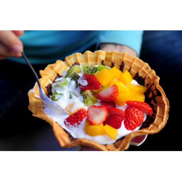 Full Nutrition Manual Yogurt Maker Makes Probiotics - Rich Yogurt Easy Operate