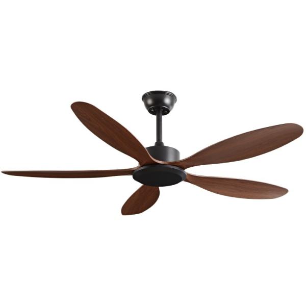 Ventilateur de plafond d'intérieur moderne de 56 pouces avec conversion de fréquence, 5 pales en ABS, télécommande, parfait pour toutes les pièces