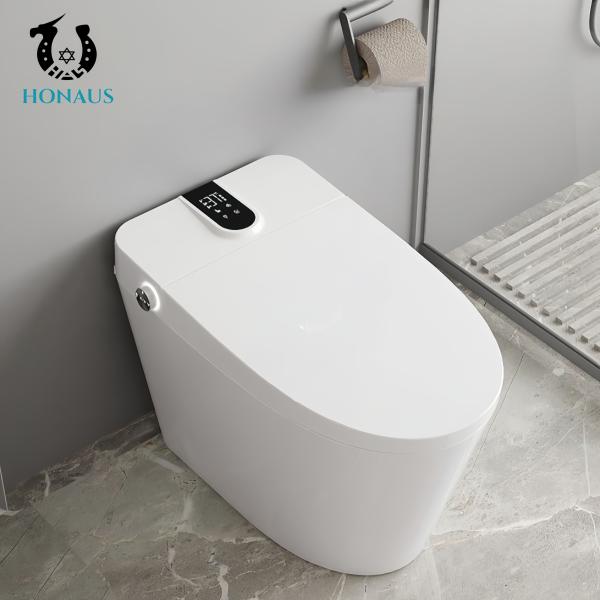 Small Size Smart Intelligent Toilet Ceramic Multi Functions Modern Design Siphonic