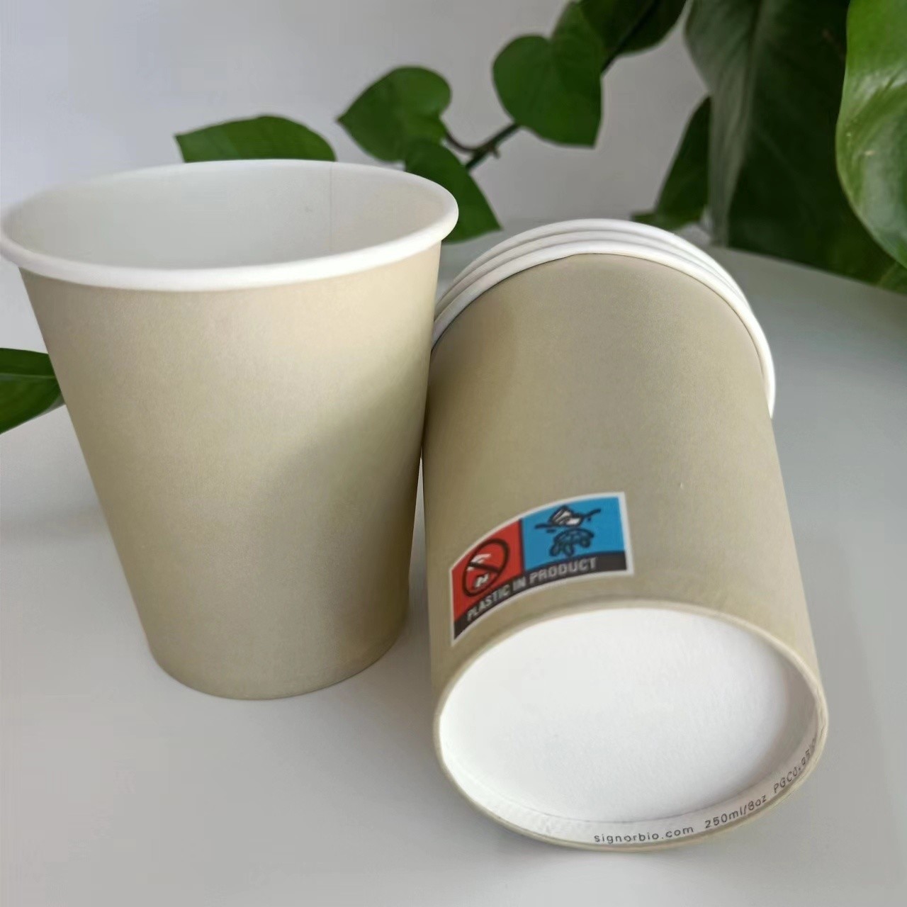 OEM Single Wall Paper Cup Custom Printed Logo Biodegradable 18PE 150-300GSM Disposable