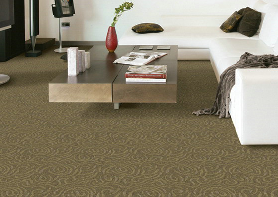 Сделайте по образцу современный ковер 3.66м 100% полиэстер живущей комнаты с не сплетенный