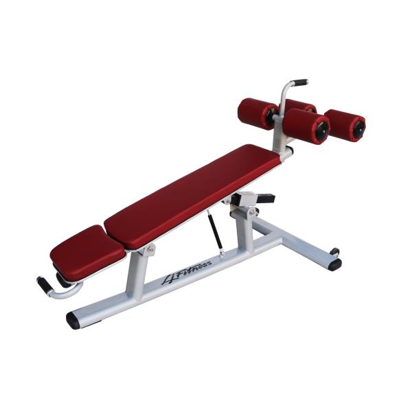 Шкаф спортзала фитнеса жизни и Суд, регулируемый подбрюшный Суд хруста