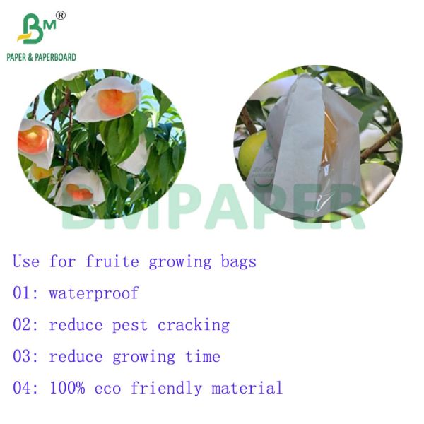 27gsm 30gsm Waterproof White Peach Growing Bags Paper 700mm 800mm 27gsm 30gsm Waterproof White Peach Growing Bags Paper 700mm 800mm