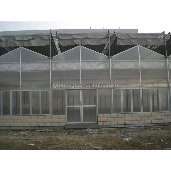 9.6m Tunnel Width Polycarbonate Greenhouse for Sustainable Agricultural Practices