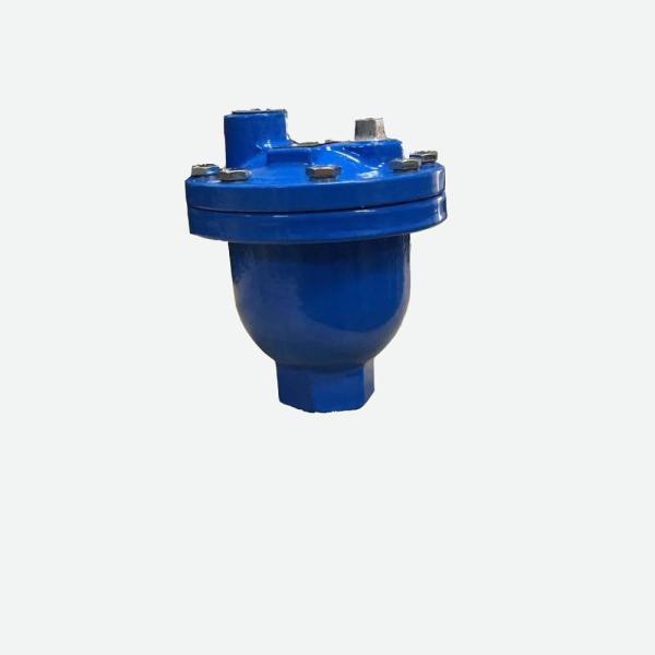 Single Cast Iron Air Release Valve Air Release Valve Thread End PN16