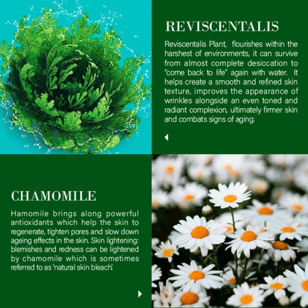 Customized Chamomile Ampule Freeze-Dried Lyophilized Powder Reviscentalis Microneedling Anti-Aging Whitening Face Liquid