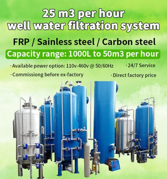 3000L/Hour Iron Manganese Water Filter 110V-460V 60HZ Carbon Steel Material