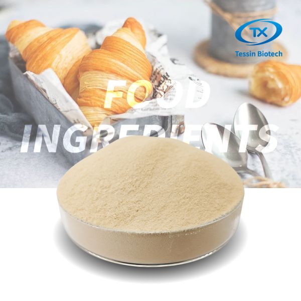 Functional Yeast Protein Powder Ingredient For Bakery Bread Cakes