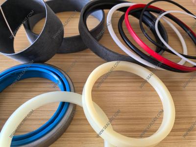 Hydraulic Cylinder Repair Seal Kit 244-2070  2442070