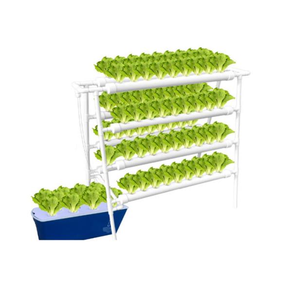 Vegetable Soilless Cultivation Double Side White Net Hydroponic Pipe