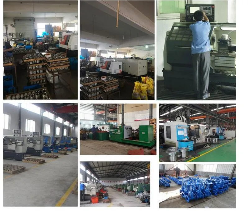 Hastelloy C276 B2 B3 300лб 600лб 900лб So Sw Промышленный фланц для промышленности