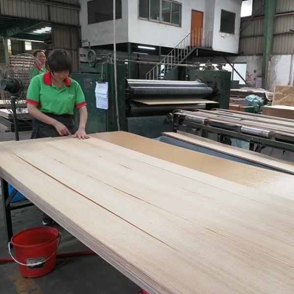 Hotel Decoration Fancy Plywood Of High Quality Natural Walnut Crotch 3050mm Lengthened Size China Manufacturer