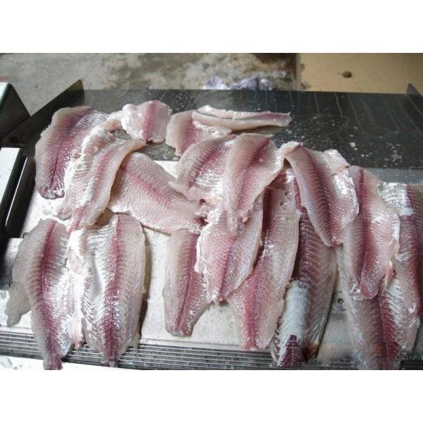 Stainless Steel Tilapia Fish Processing Machine Gutting Killing Gutting Cleaning