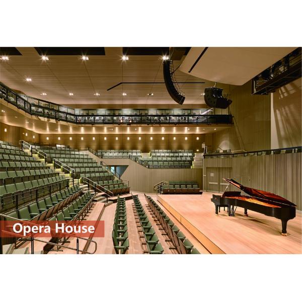 Группа E1 Равные акустические панели Звукопоглощающие стенные панели 0,9 NRC CE FSC сертифицированные