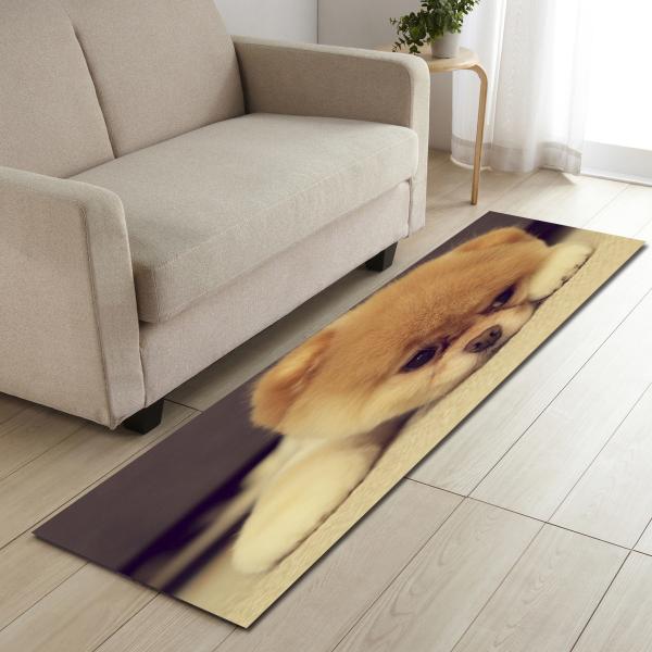 Absorvente bonito animal da água de Mats Home Entry Door Mat do assoalho da cozinha do cão