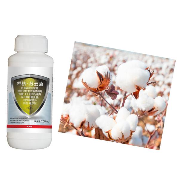 Insecticidas biológicos Bacillus Thuringiensis Pesticida para algodón orgánico NPV Pesticida para matar al algodón Bollworm