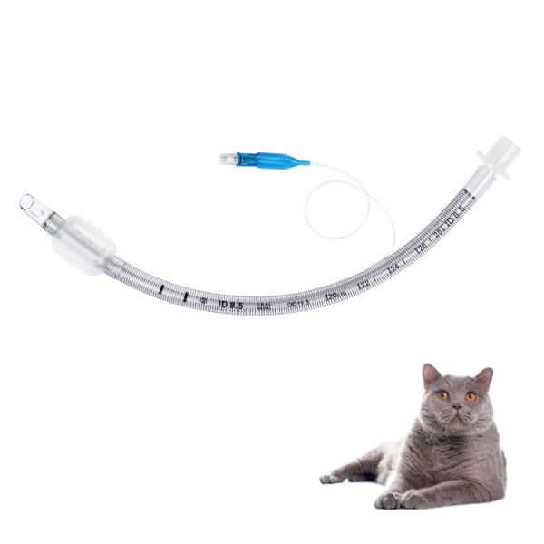Veterinary Reinforced Endotracheal Tube Medical Grade PVC with Olive-Shaped Balloon Transparent Anesthesia Catheter for Animal Hospitals