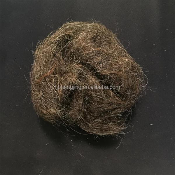 Washed Good Quality Clean Curled Horse Hair Waste for Mattress