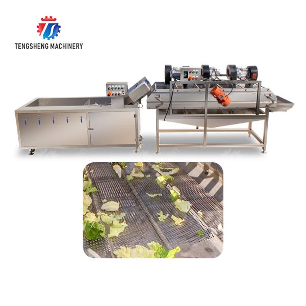 Bubble washing vibration air drying production line Orange Vegetable Herbs Fruit processing production Machine