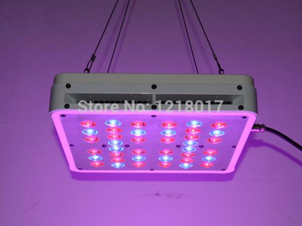 Apollo led grow lights NEWest cheap 600w led grow lights for sale