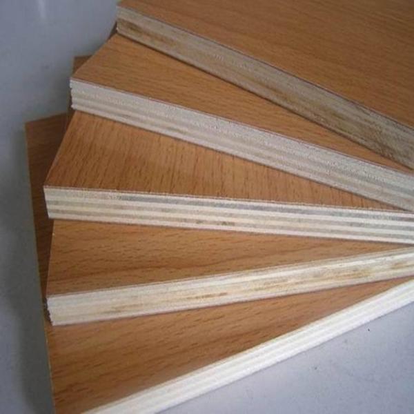 Eucalyptus Commercial Grade Plywood With Okoume Faced Standard Size