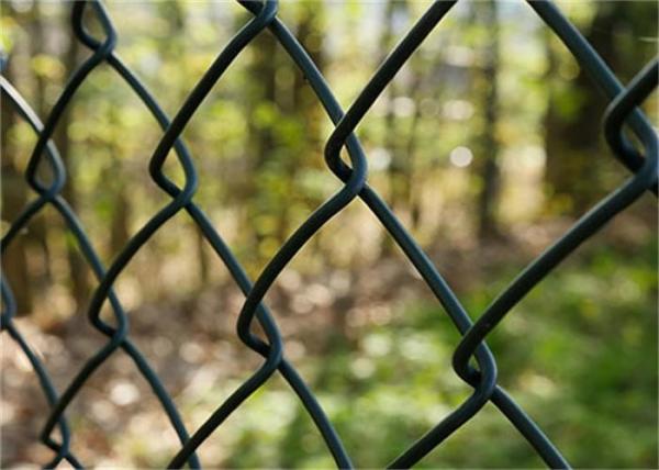 Stainless Steel Corrosion Resistance 6ft Diamond Wire Fence