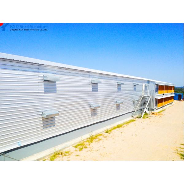 H Section Steel Poultry House Chicken Farm House Building
