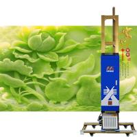 Imprimante UV de mur de Zkmc 3d, largeur sans limites directement pour murer l'imprimante à jet d'encre
