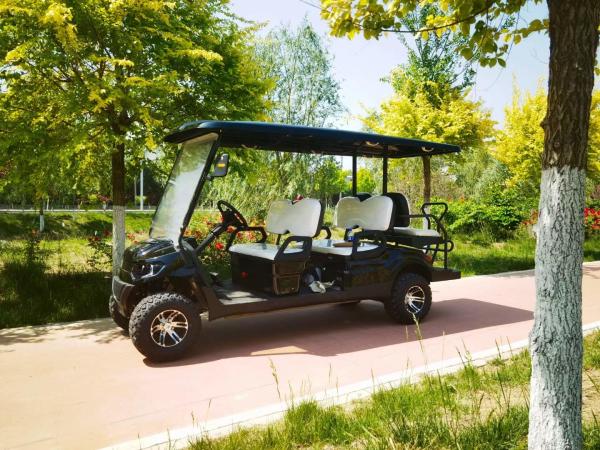 Carrinho de golfe elétrico de 6 lugares Design de moda Baterias elétricas de chumbo