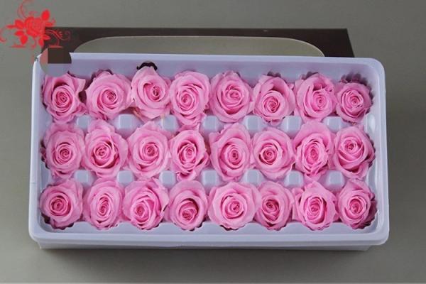 Wholesale real preserved rose stabilized natural preserved fresh flowers for Valentines day