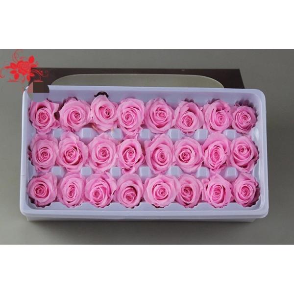 Wholesale real preserved rose stabilized natural preserved fresh flowers for Valentines day