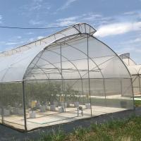 Estufa automática do respiradouro do período de Tailândia o clima tropical elétrico da multi controlou