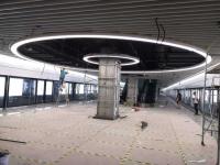 Customized Led Ring Pendant Light CR3600 Circle Hanging Ceiling Light