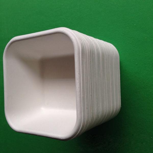 biodegradable eco-friendly dinnerware sugarcane square shaped food tray