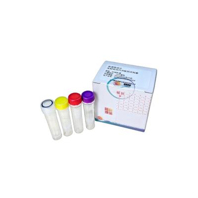 Porcine-Derived Component Real-Time PCR Detection Kit