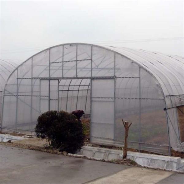 Single Span PE Film Greenhouse TUV Low Cost Poly Tunnel Greenhouse