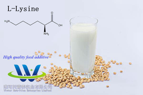 98.5% L-Lysine Feed Additives Customized Request Accepted with CCC Certification