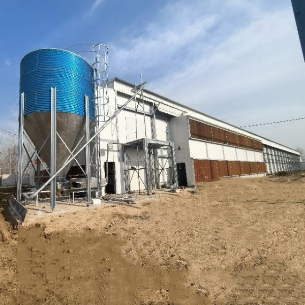 Automated Laying Hens Machines 8 Tier Chicken Layer Battery Cage Chicken Cages Hot Galvanized Egg Layer Poultry Farms