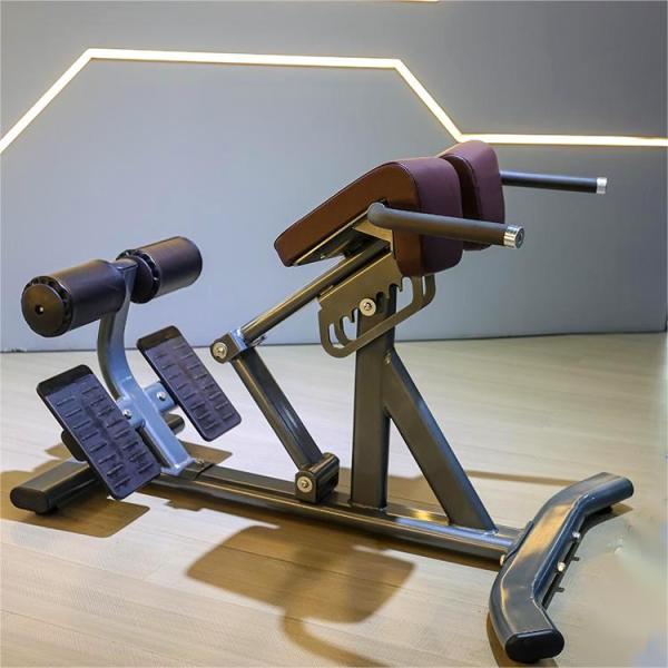 Hot Sale Adjustable Back Extension Roman Chair Home Gym Strength Training Machine for Abdominals and Back Exercise Pin Load Selection