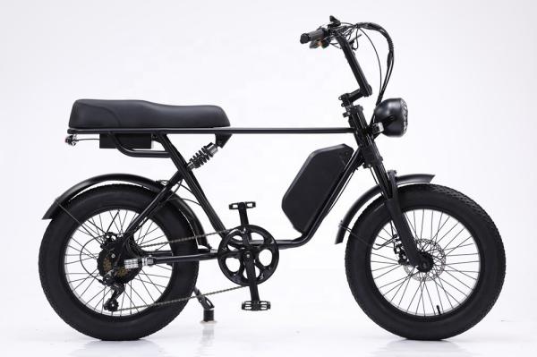 48V 750W Motor Electric Hybrid Bike Full Suspension 20 Inch Fat Tire Ebike  17Ah Battery