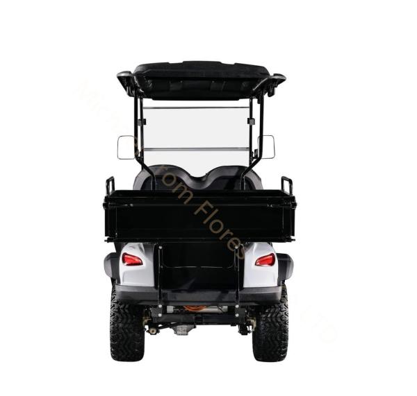 Caça fora da estrada 4 lugares Carrinho de golfe elétrico 4 rodas Standard Club Car