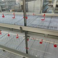 Sistema de alimentação automático de gado para venda por grosso