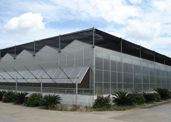 Polycarbonate Multi Span Greenhouse For Hot Climate 12 Meter Width