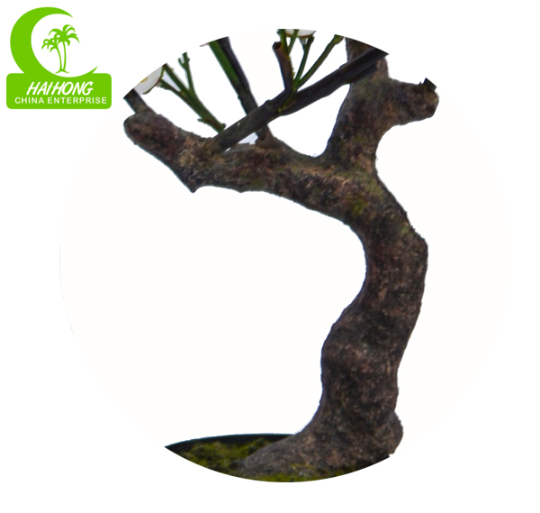 Заводы Lifelike дерева вишневого цвета Faux искусственные в горшке для горячей продажи